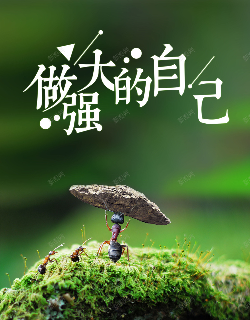 创意做强大的自己励志海报背景psdjpg_88icon https://88icon.com psd 企业励志 做强大的自己 创意 励志 励志海报 海报背景 石头 蚂蚁