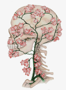 骷髅手印花清新艺术花与骷髅高清图片