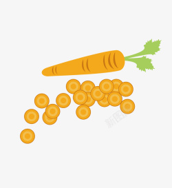 扁平化的胡萝卜和萝卜片矢量图素材