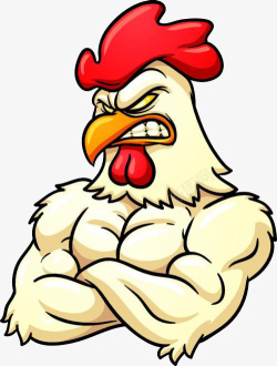 正面肌肉有肌肉的公鸡高清图片