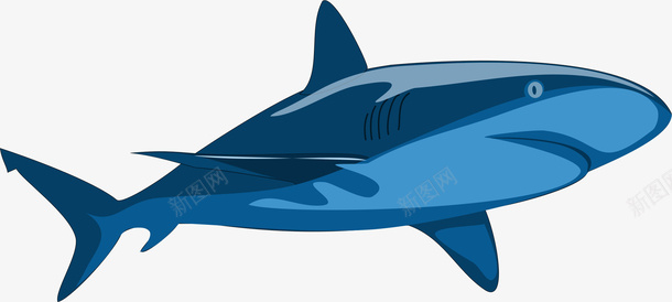 鲨鱼png免抠素材_88icon https://88icon.com 沙鱼 海洋生物 鲛 鲛鲨