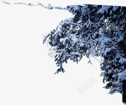 白雪压迫树枝美景素材