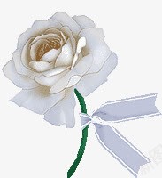 白色花儿png免抠素材_88icon https://88icon.com 手绘鲜花 植物 白色玫瑰花 花儿 花卉元素 鲜花