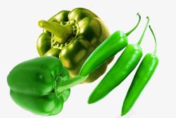 绿色柿子椒实物绿色青椒尖椒高清图片