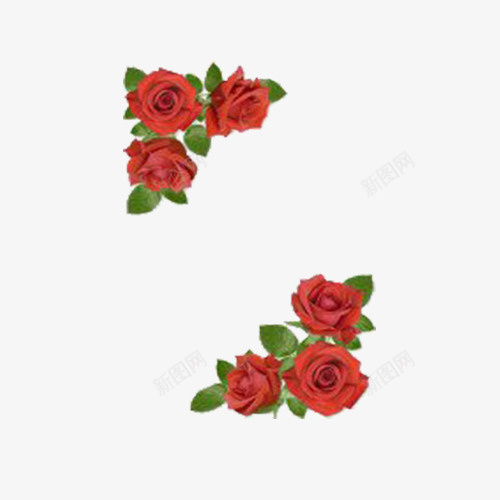 玫瑰对角花背景png免抠素材_88icon https://88icon.com 壁纸 对角花 玫瑰 装饰图案