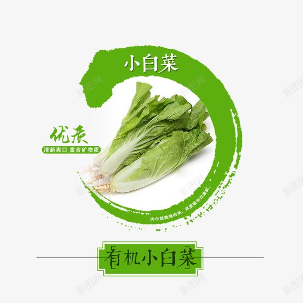 有机小白菜png免抠素材_88icon https://88icon.com 小白菜 新鲜 有机菜 蔬菜