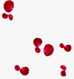 飘落红色花瓣元素素材