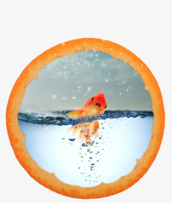 橙子里的金鱼素材