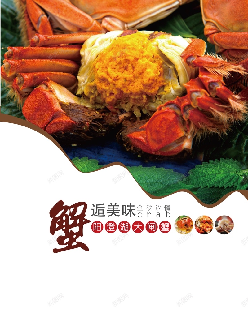 矢量美食大闸蟹背景ai设计背景_88icon https://88icon.com 大闸蟹 宣传 海报 白色 矢量 美食 背景 阳澄湖 矢量图