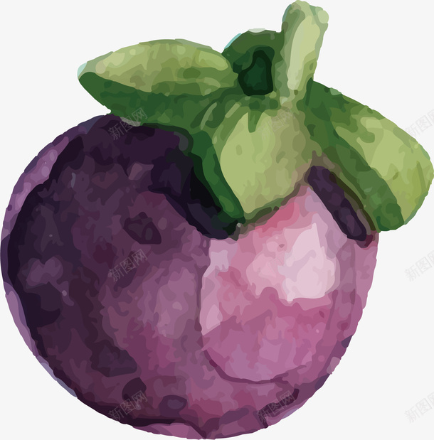 圆圆的山竹矢量图ai免抠素材_88icon https://88icon.com 卡通手绘 山竹 球状 紫色 绿色 矢量图