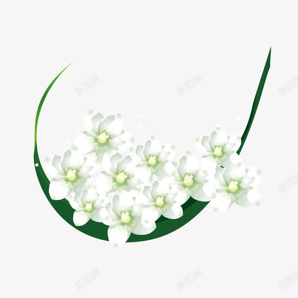 唯美花簇png免抠素材_88icon https://88icon.com 唯美 白色 花朵 花簇