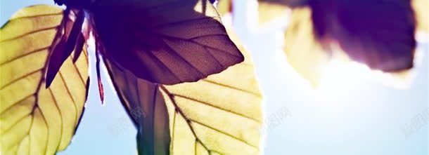 活动专题jpg设计背景_88icon https://88icon.com 活动专题