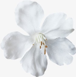 浅蓝色白色布艺花朵素材