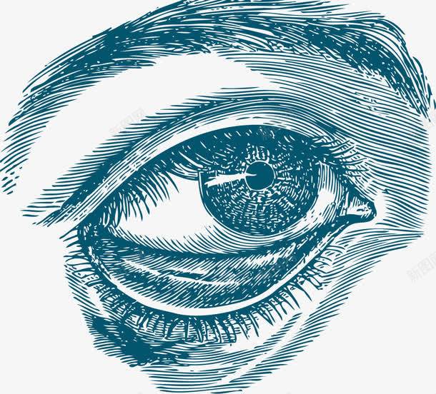 人类眼睛器官手绘表达png免抠素材_88icon https://88icon.com 人体内脏 人类眼睛 内脏 内脏图 器官 手绘器官 手绘表达