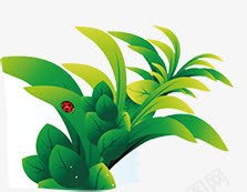 绿色植物海边树叶png免抠素材_88icon https://88icon.com 树叶 海边 绿色植物