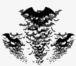 黑色剪影蝙蝠素材