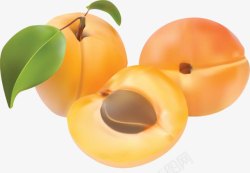 水果黄杏素材