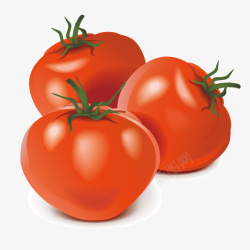高清农产品西红柿矢量图高清图片