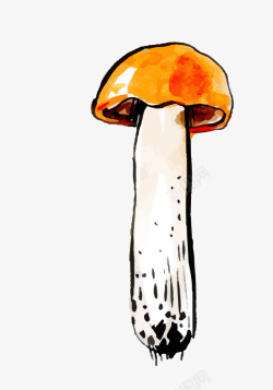 手绘水彩插画蘑菇素材