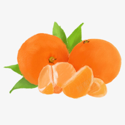 橘子酸酸甜甜素材