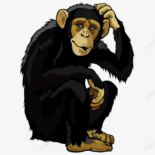 黑色挠头的大猩猩png免抠素材_88icon https://88icon.com 大猩猩 手绘 饶头 黑色
