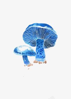 蓝色蘑菇素材