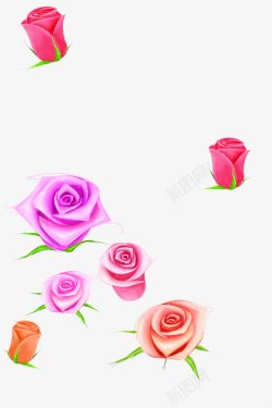 手绘粉色玫瑰花苞装饰素材