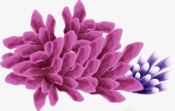手绘创意合成紫色的花朵素材