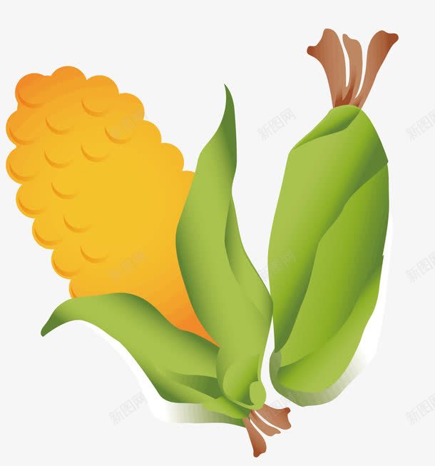 两个玉米png免抠素材_88icon https://88icon.com 两个玉米 整个 水果蔬菜