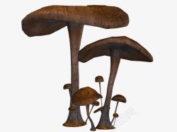 蘑菇卡通画褐色大蘑菇高清图片