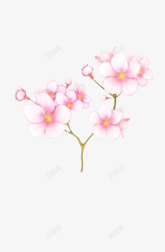 白色桃花手绘桃花png免抠素材_88icon https://88icon.com 手绘 桃花 白色