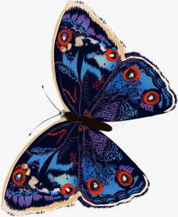 彩色手绘蝴蝶标本矢量图素材