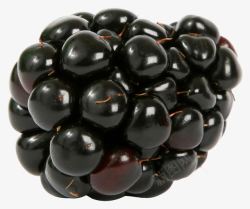 熟透了的黑莓素材