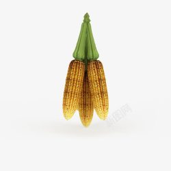 玉米粮食素材
