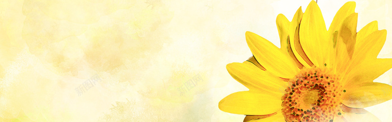 黄色手绘向日葵背景背景