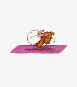 小豚鼠瑜伽插画艺术素材