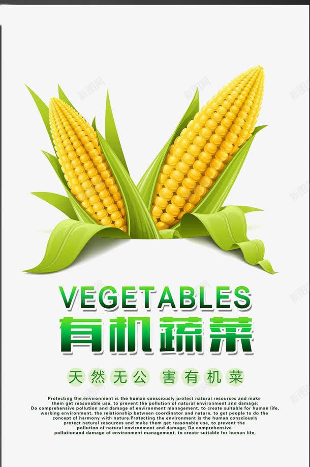 玉米健康绿色海报png免抠素材_88icon https://88icon.com 创意 绿色 膳食 蔬菜