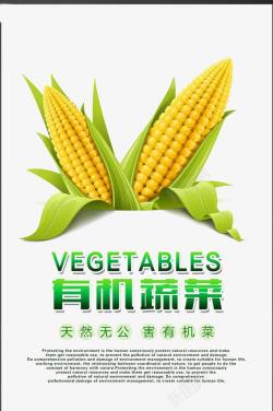 玉米健康绿色海报素材
