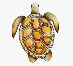 金黄色乌龟卡通版手绘的小乌龟高清图片
