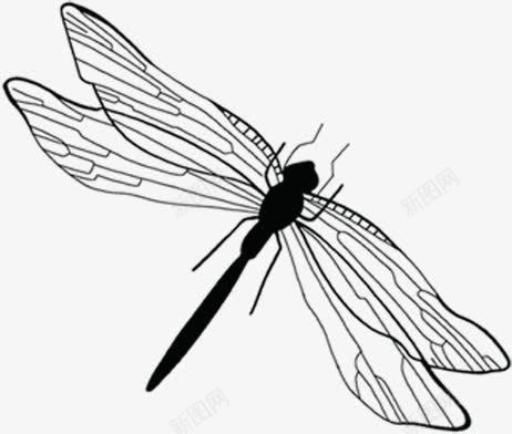 中国风水墨蜻蜓png免抠素材_88icon https://88icon.com 国风 图片 水墨 蜻蜓