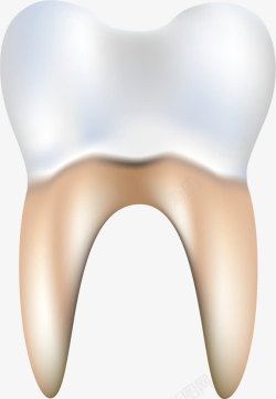 牙齿牙龈素材