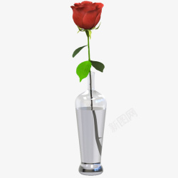 花瓶带刺花朵单支玫瑰素材