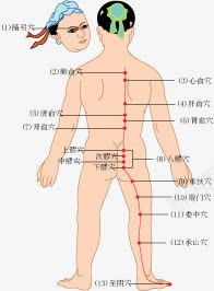 养生穴位图png免抠素材_88icon https://88icon.com 健康 养生 穴位 穴位图 针灸 针灸疗法