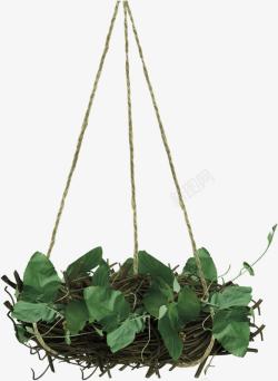 绿色简约植物吊篮装饰图案素材
