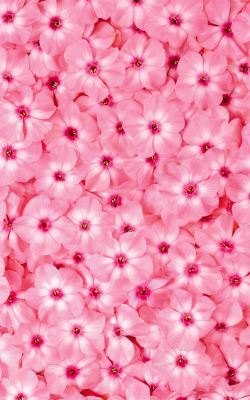粉色花卉全屏海报背景素材