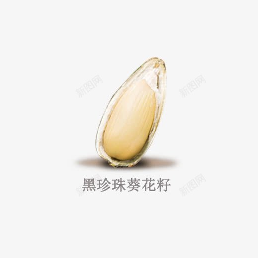 黑珍珠葵花籽psd免抠素材_88icon https://88icon.com 中药杏仁 干果 干货 松仁 果仁 油炸腰果 炒货甜杏仁 脆皮腰果