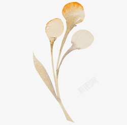 手绘水彩植物素材