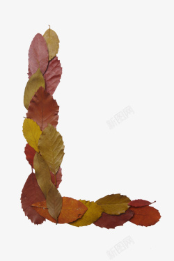叶子摆放红色叶子字母形状高清图片