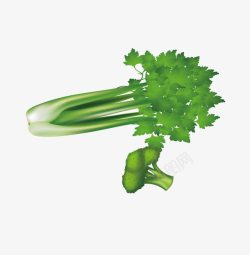 绿色蔬菜芹菜和西兰花素材