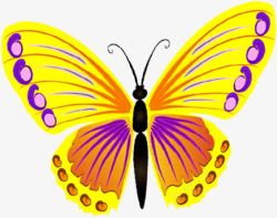黄紫色纹理手绘蝴蝶素材